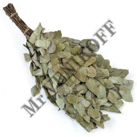 Веник эвкалипт серебристый широкий «Mr.VENIKOFF»