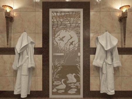 Дверь в Хамамм «Лебединое озеро» бронза прозрачная 1900Х700